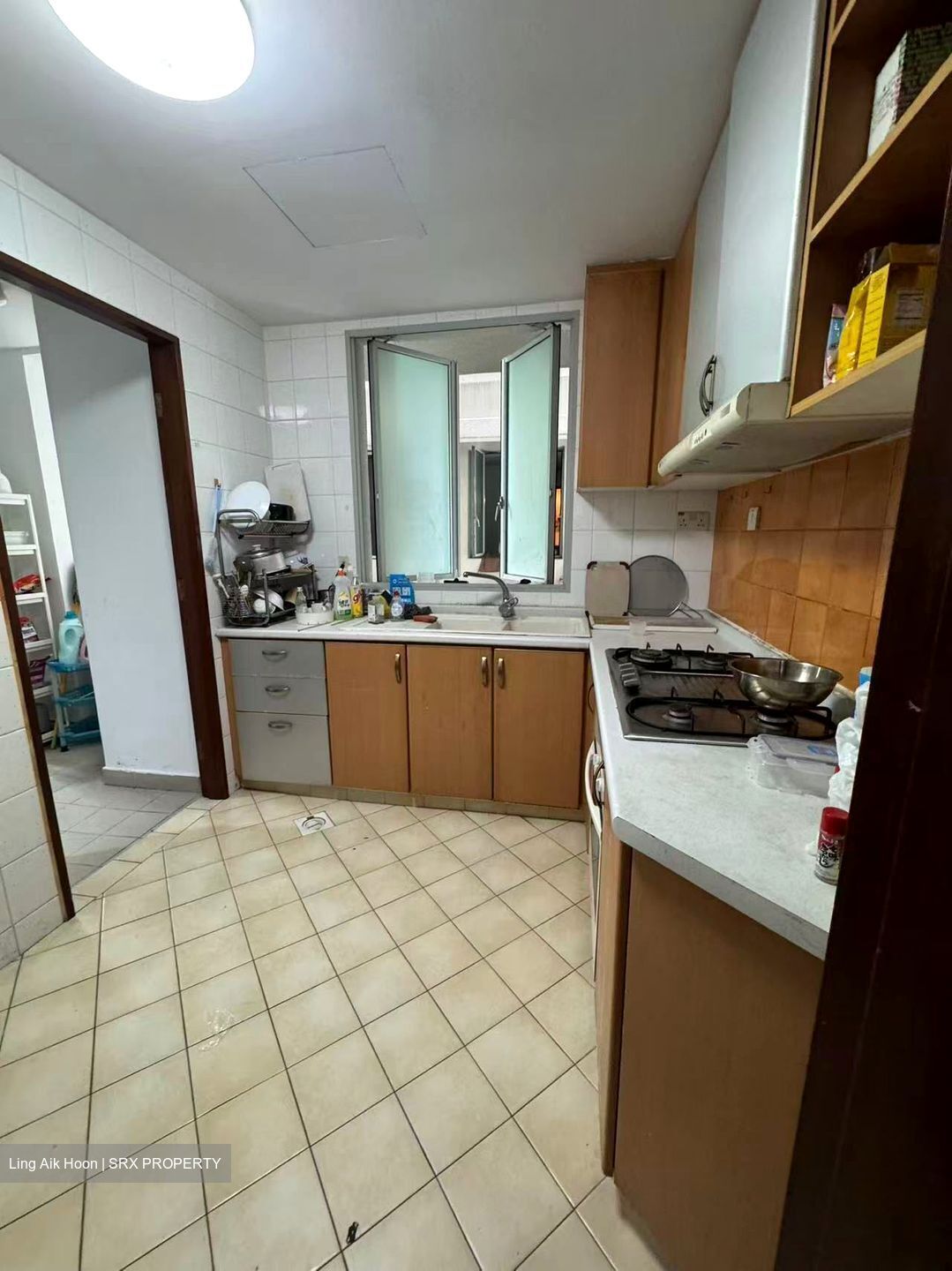 Sunshine Plaza (D7), Apartment #502540211